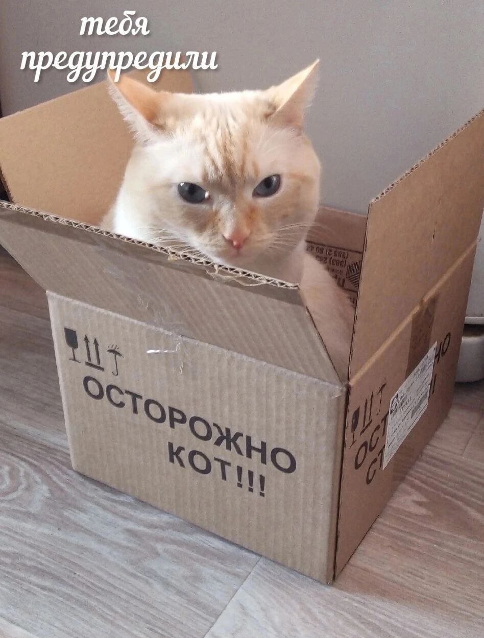 Увеличить Увеличить