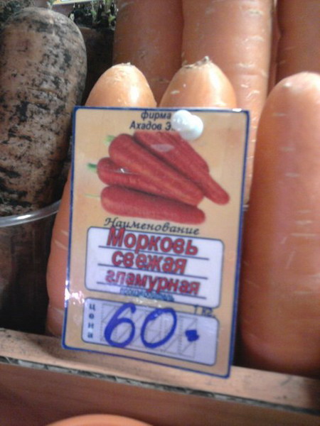 Увеличить Увеличить