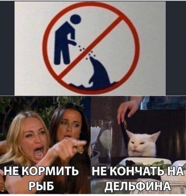 Увеличить Увеличить