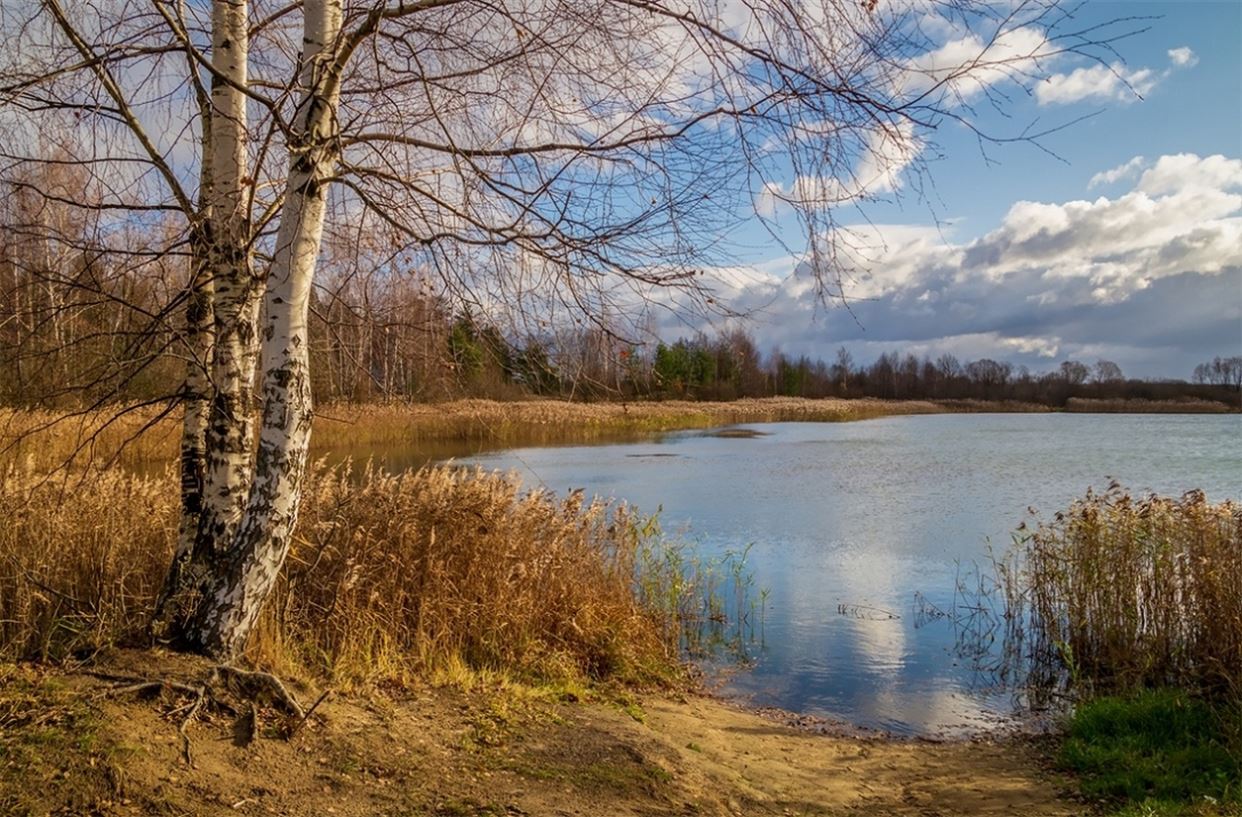 Это время года .....зовется