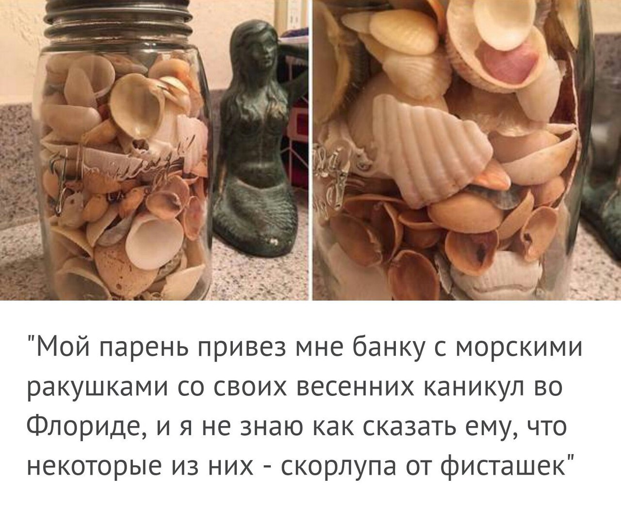 Человек ракушка пикабу