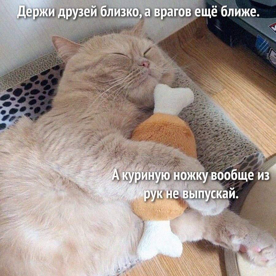Увеличить Увеличить