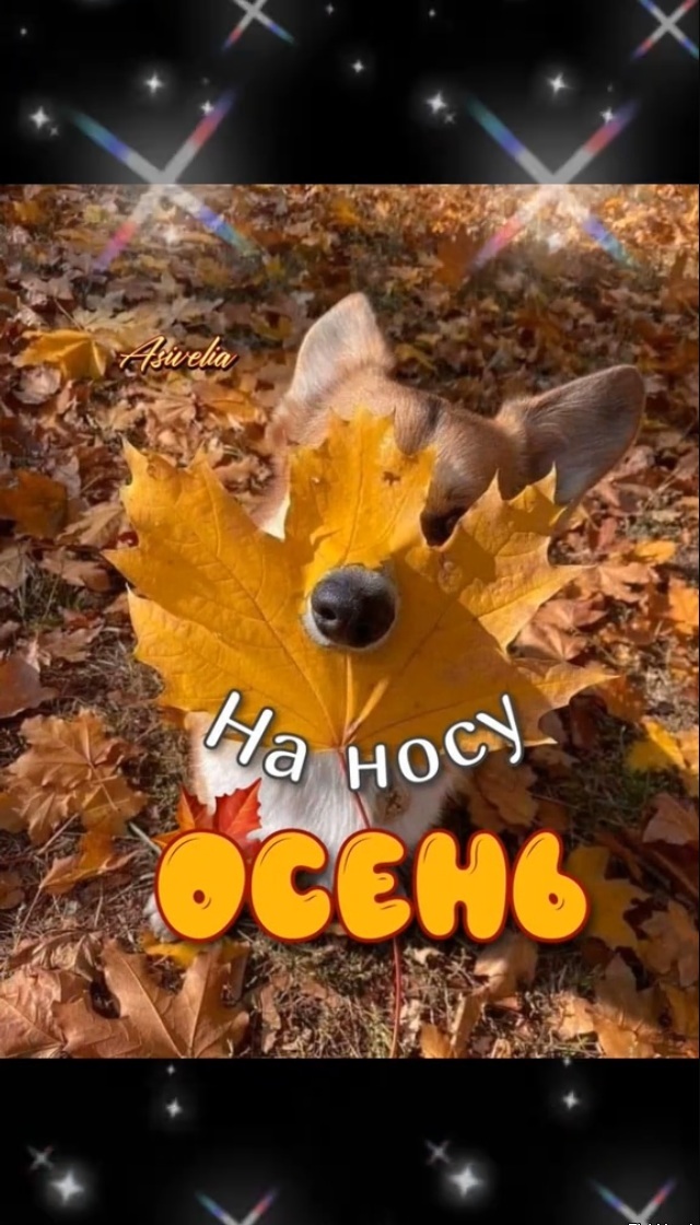 Увеличить Увеличить