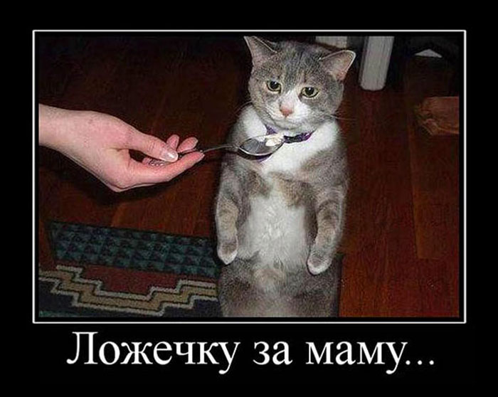 Увеличить Увеличить