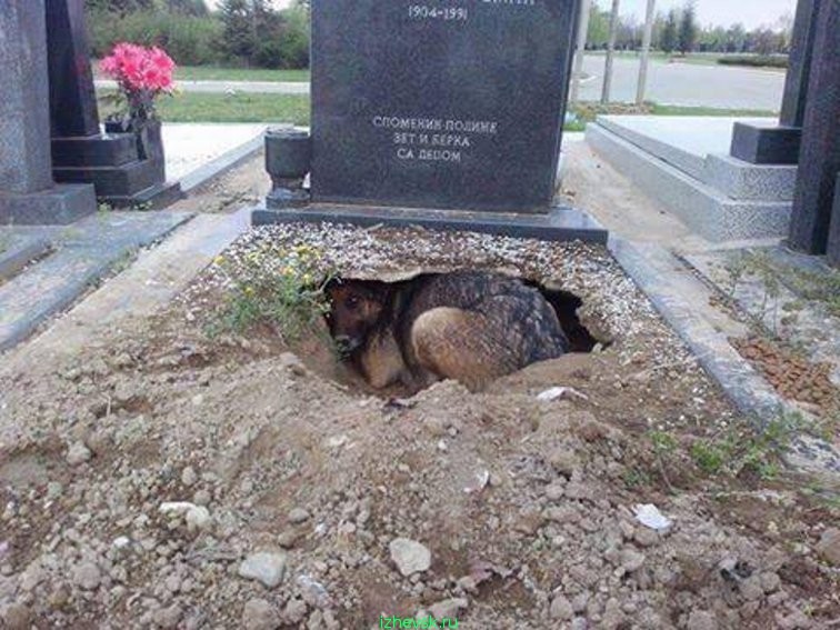 Увеличить Увеличить
