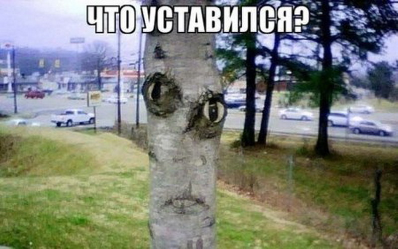 Увеличить Увеличить