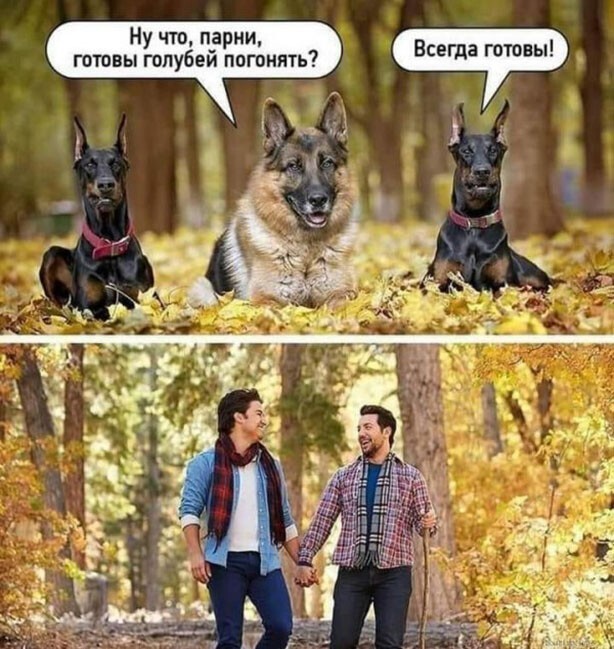 Увеличить Увеличить
