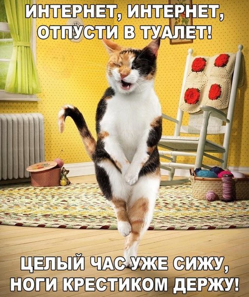 Увеличить Увеличить