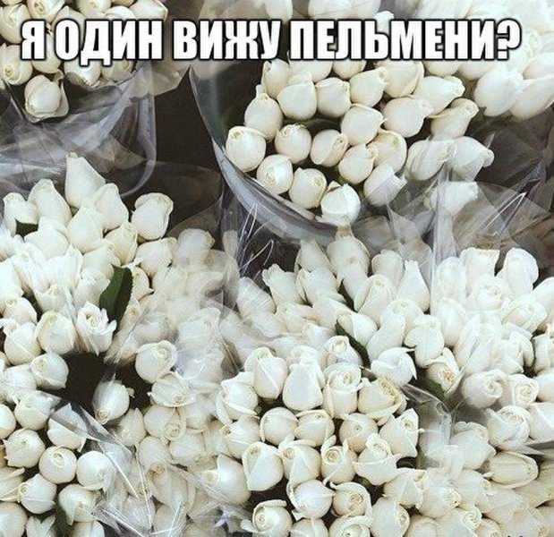 Увеличить Увеличить