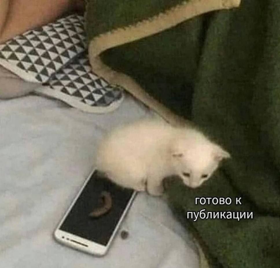 Увеличить Увеличить