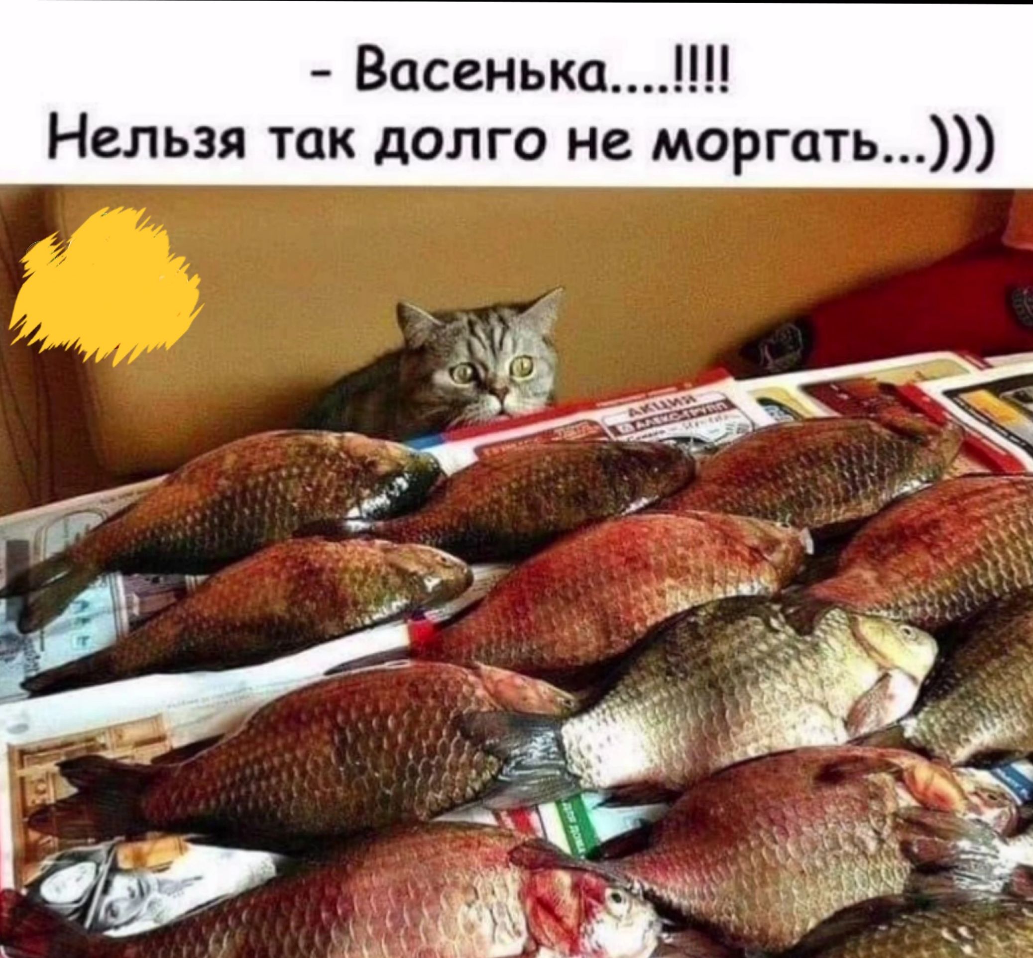 Увеличить Увеличить