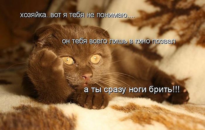 Увеличить Увеличить