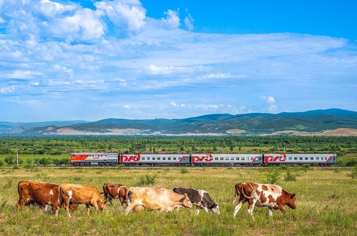 Увеличить Увеличить