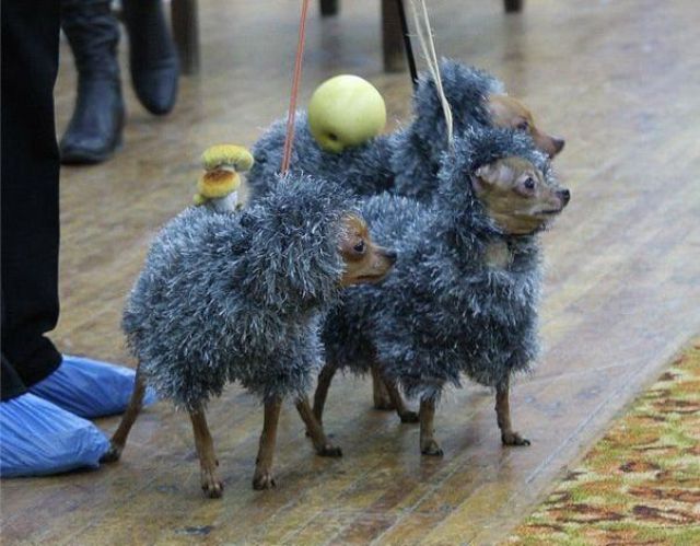 Увеличить Увеличить