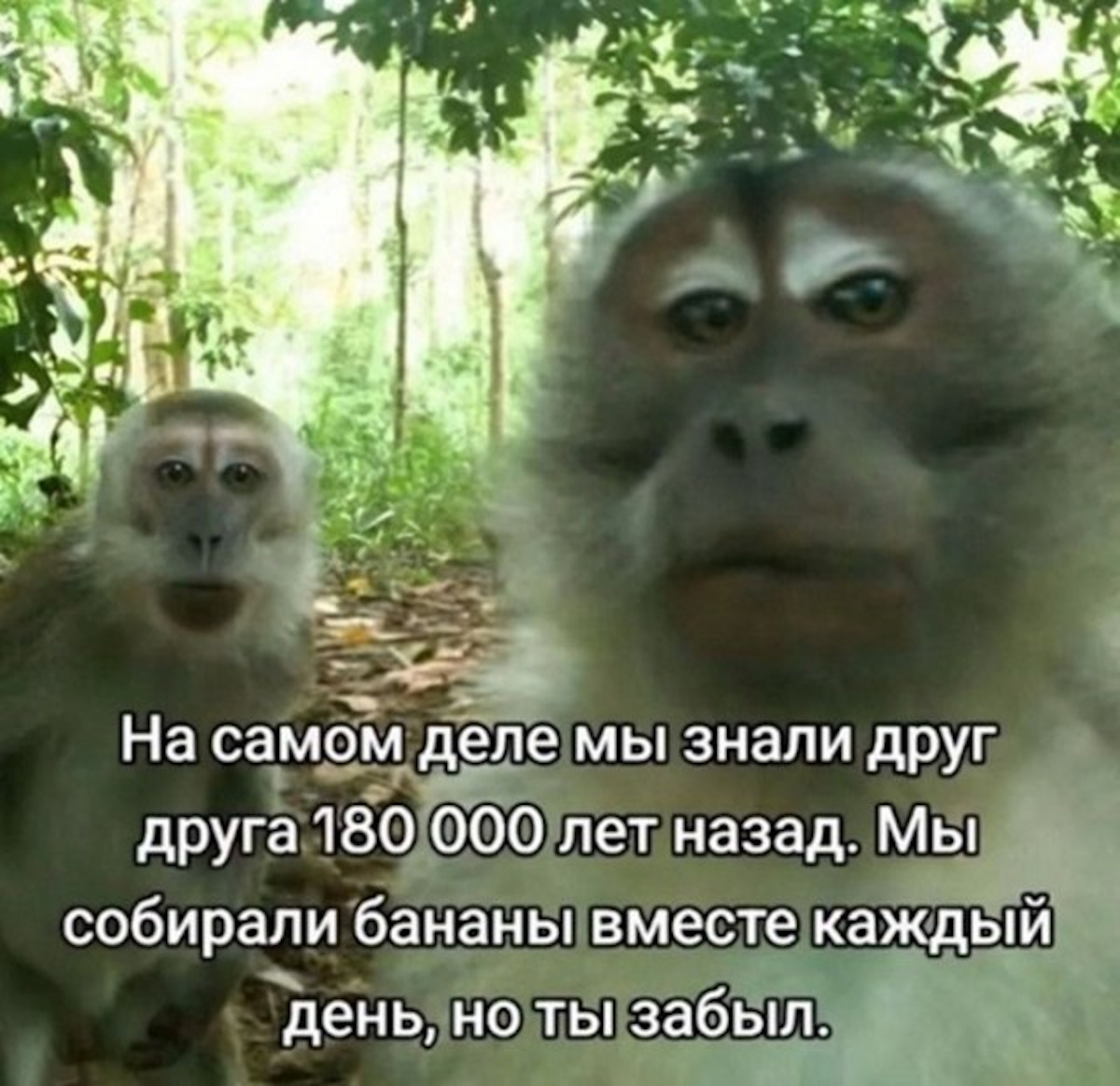 Увеличить Увеличить