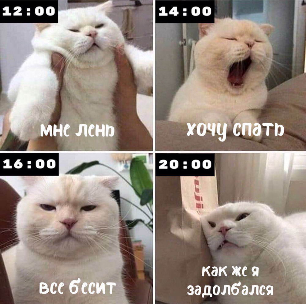 Увеличить Увеличить