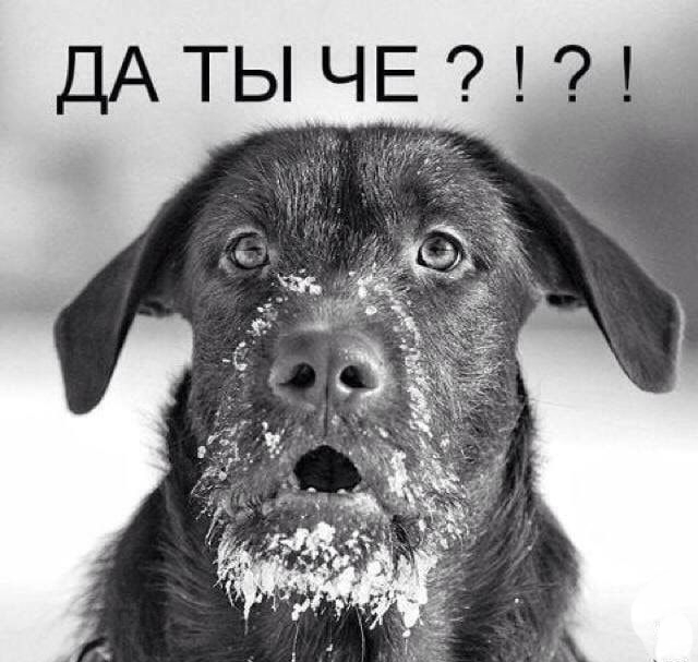 Увеличить Увеличить