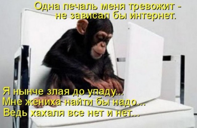 Увеличить Увеличить