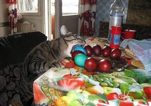 Увеличить Увеличить