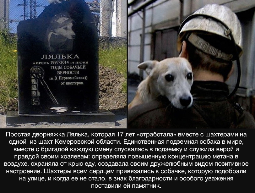 Увеличить Увеличить