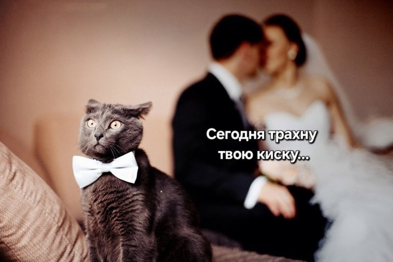 Увеличить Увеличить