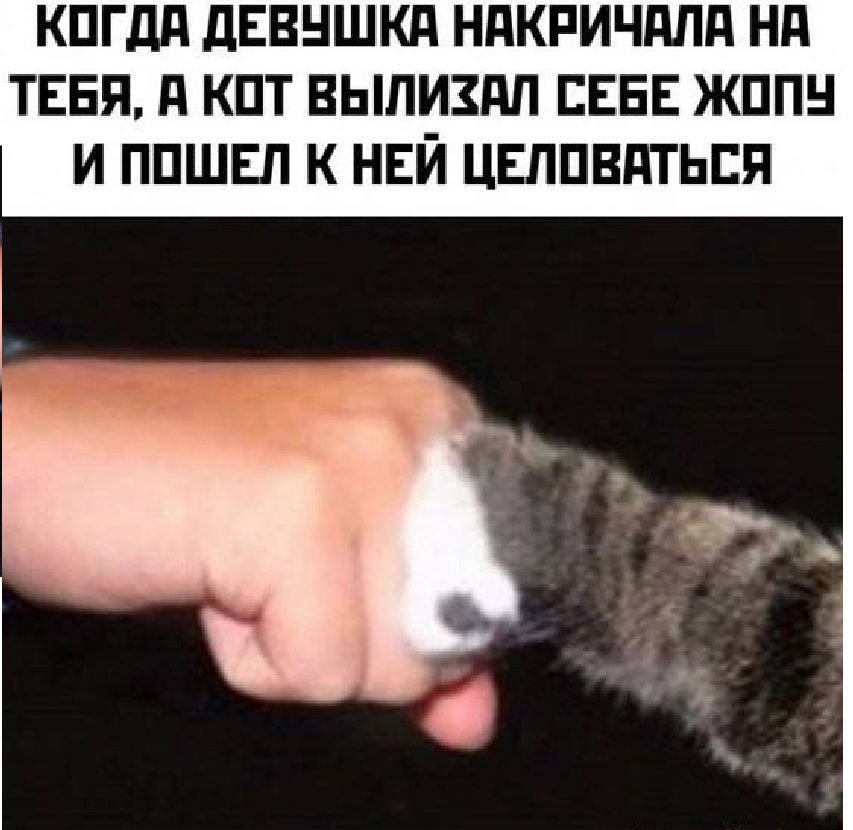 Увеличить Увеличить