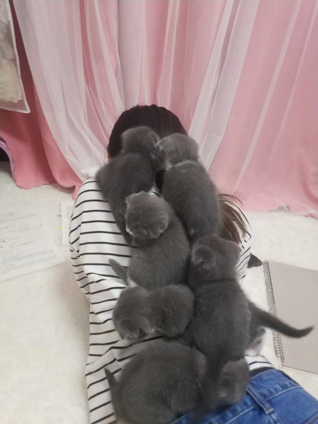 Увеличить Увеличить