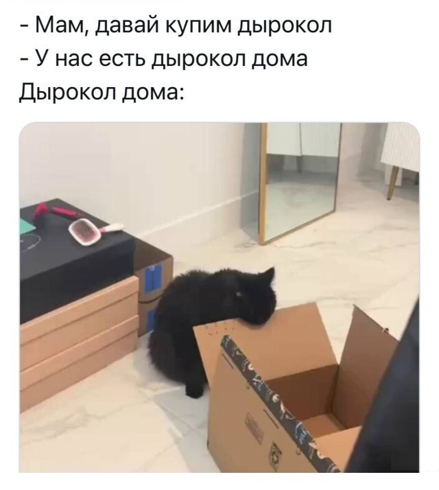Увеличить Увеличить