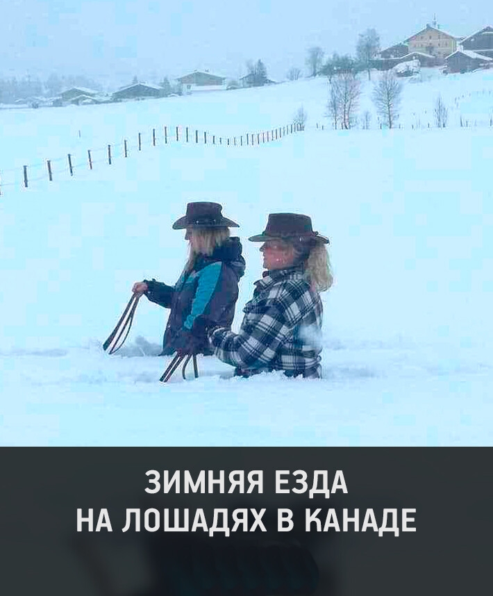 Увеличить Увеличить