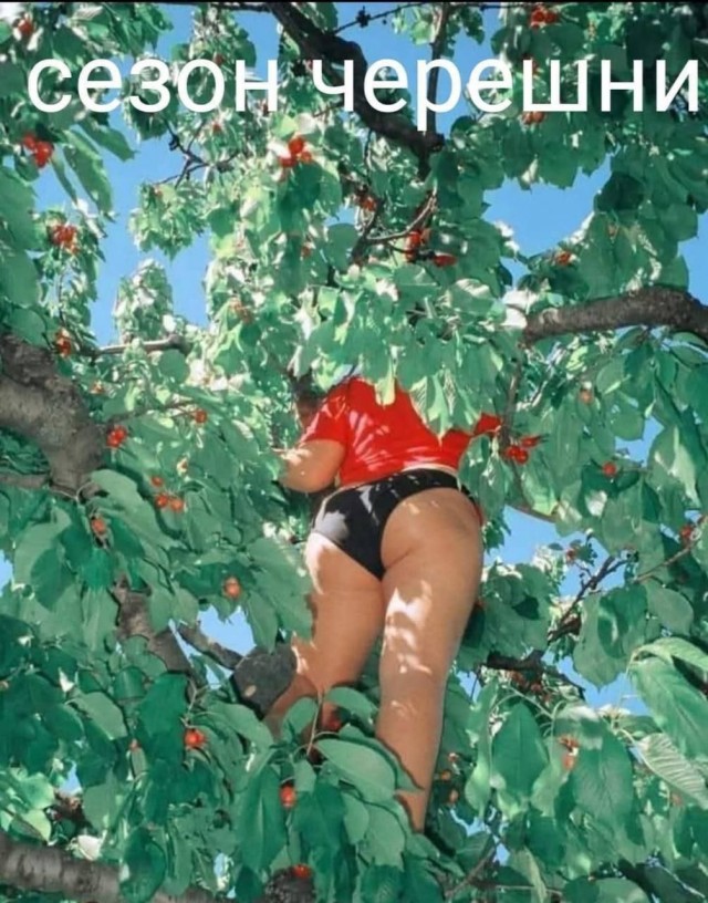 Увеличить Увеличить