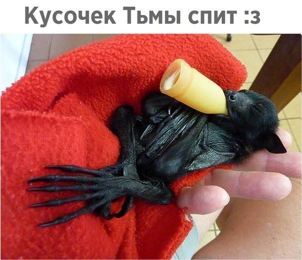 Увеличить Увеличить