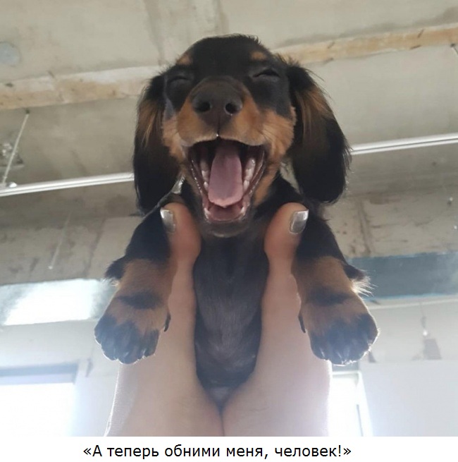 Увеличить Увеличить
