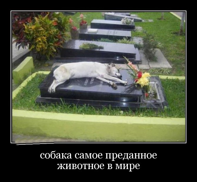 Увеличить Увеличить