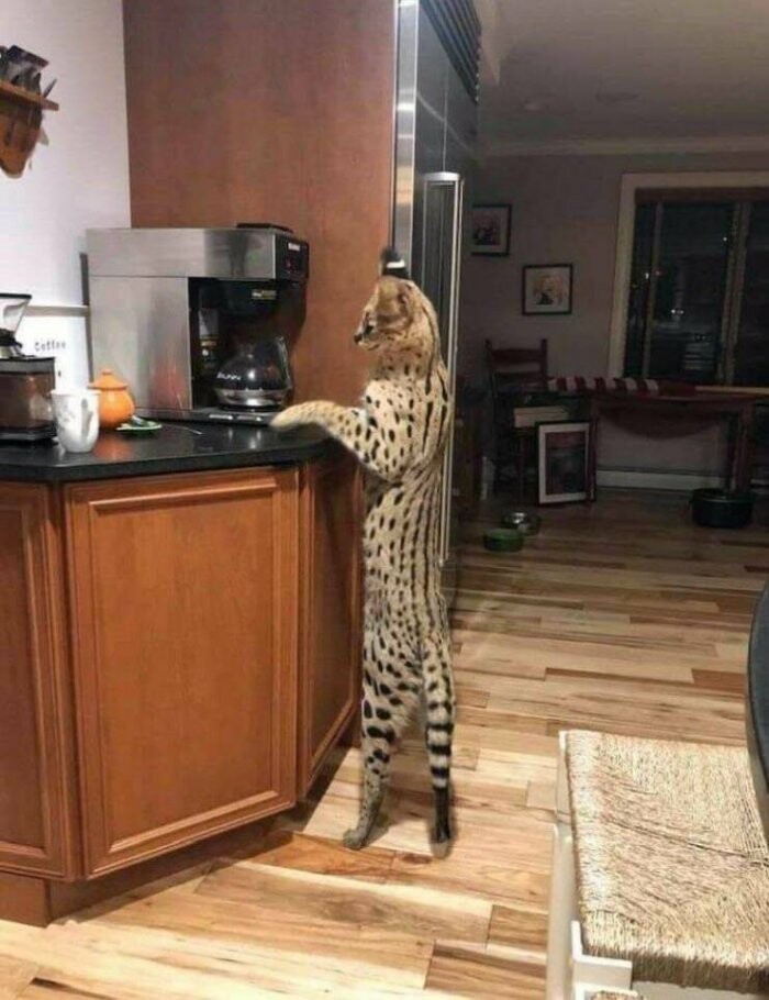 Увеличить Увеличить