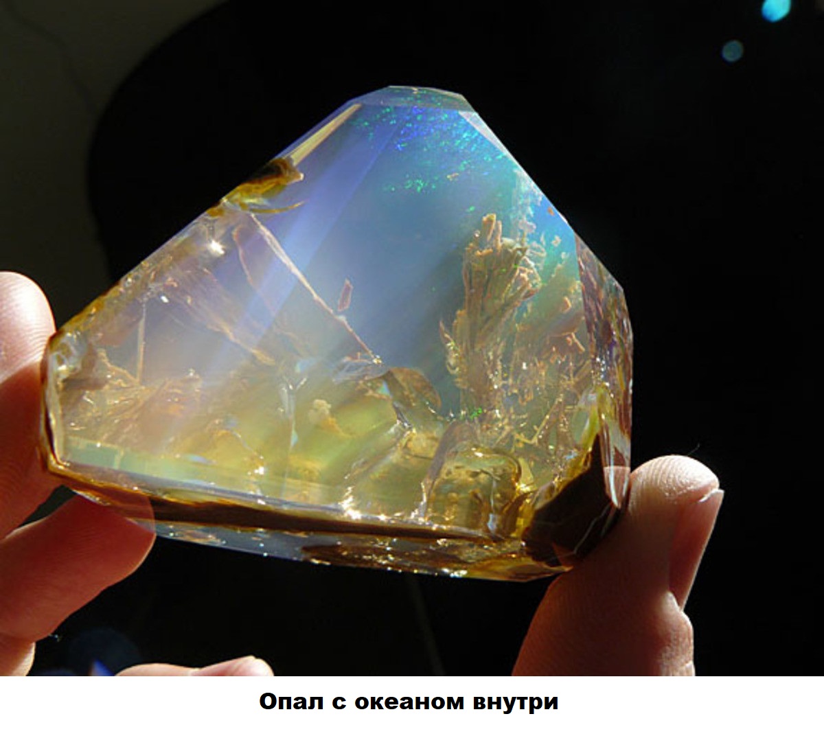 Увеличить Увеличить