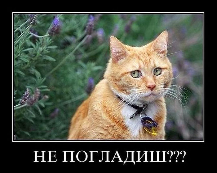 Увеличить Увеличить