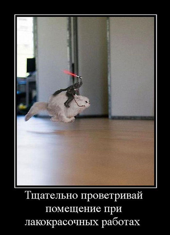 Увеличить Увеличить