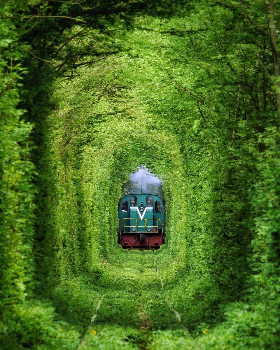 Увеличить Увеличить