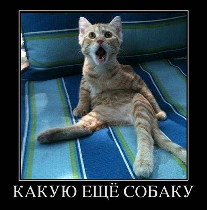 Увеличить Увеличить