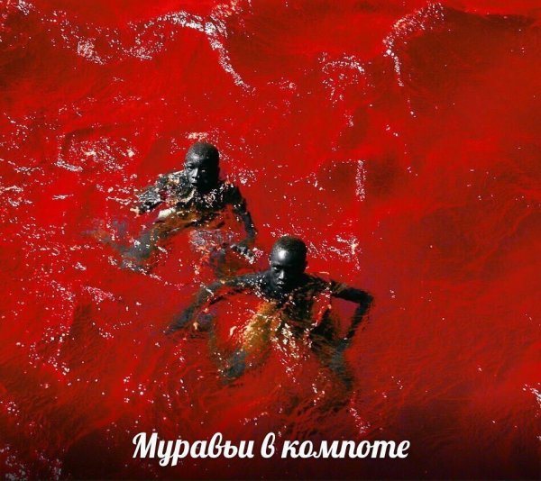 Увеличить Увеличить