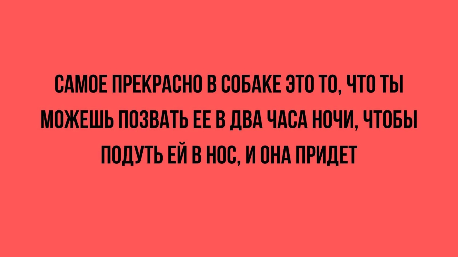 Увеличить Увеличить