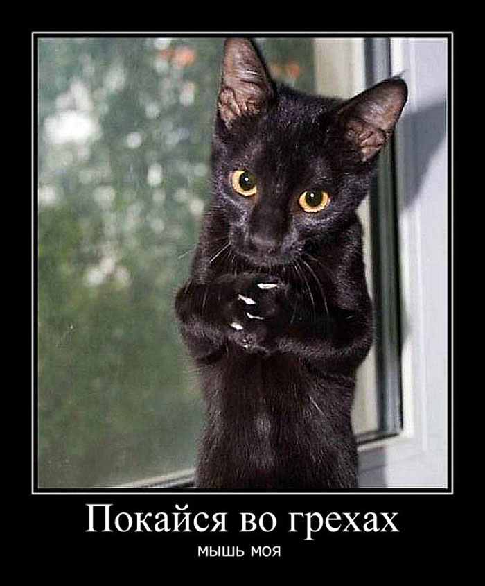 Увеличить Увеличить