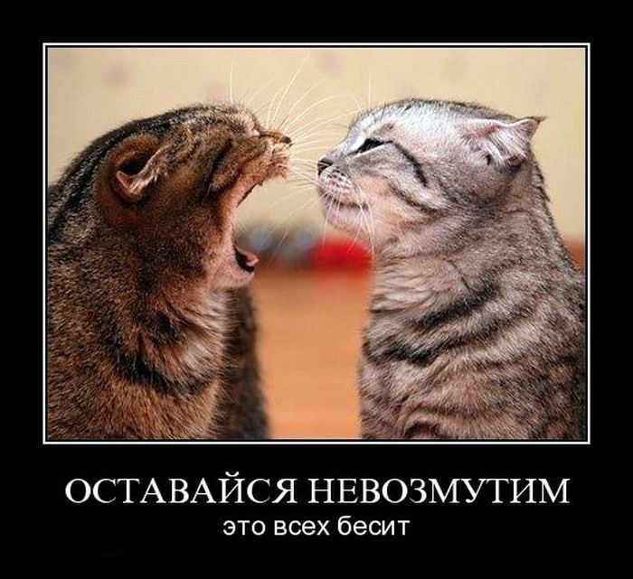 Увеличить Увеличить