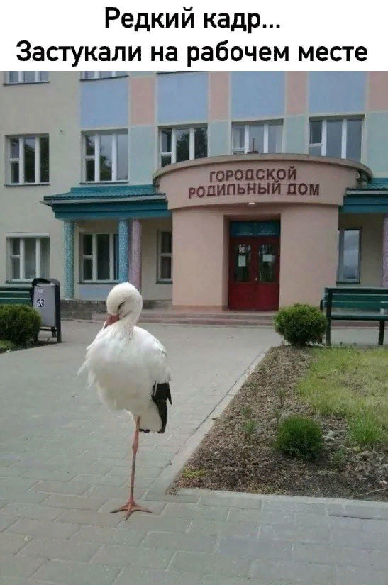Увеличить Увеличить