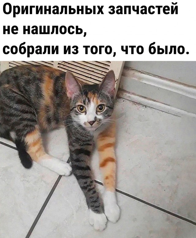 Увеличить Увеличить