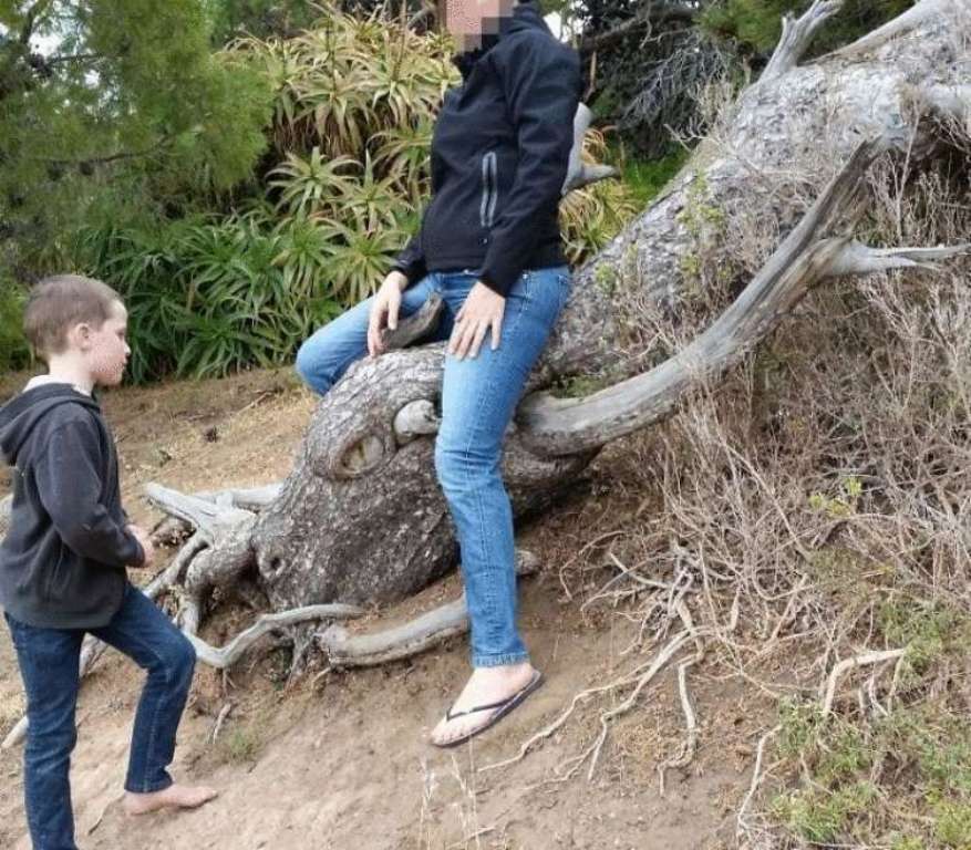 Увеличить Увеличить