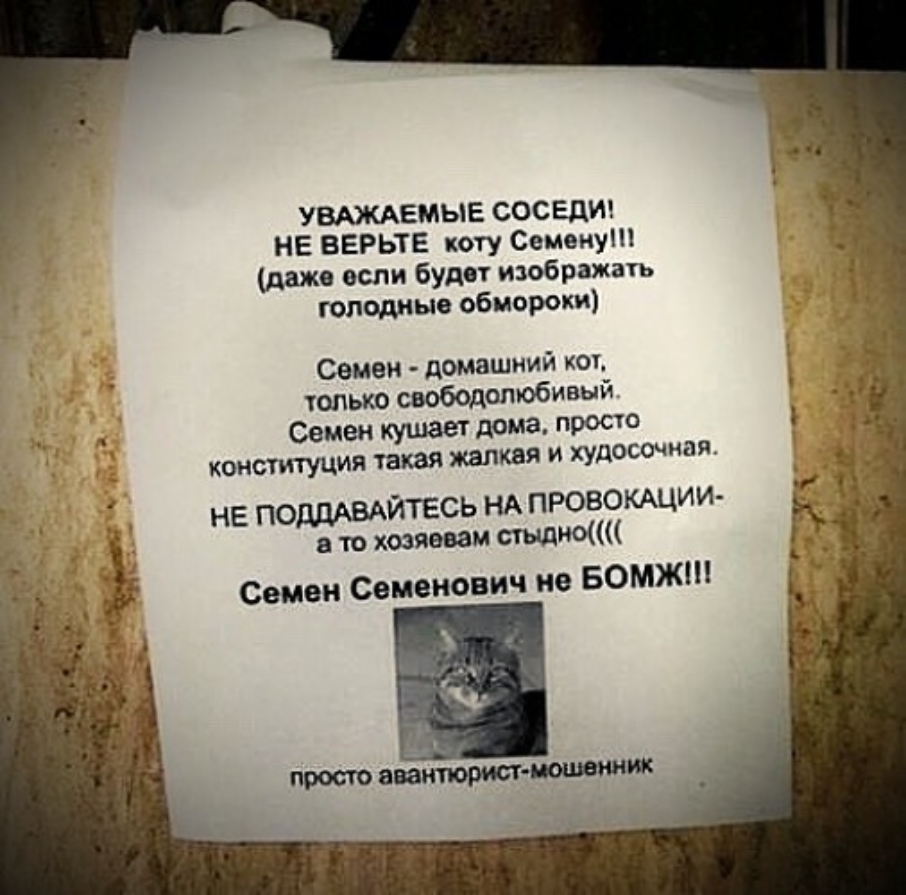 Увеличить Увеличить