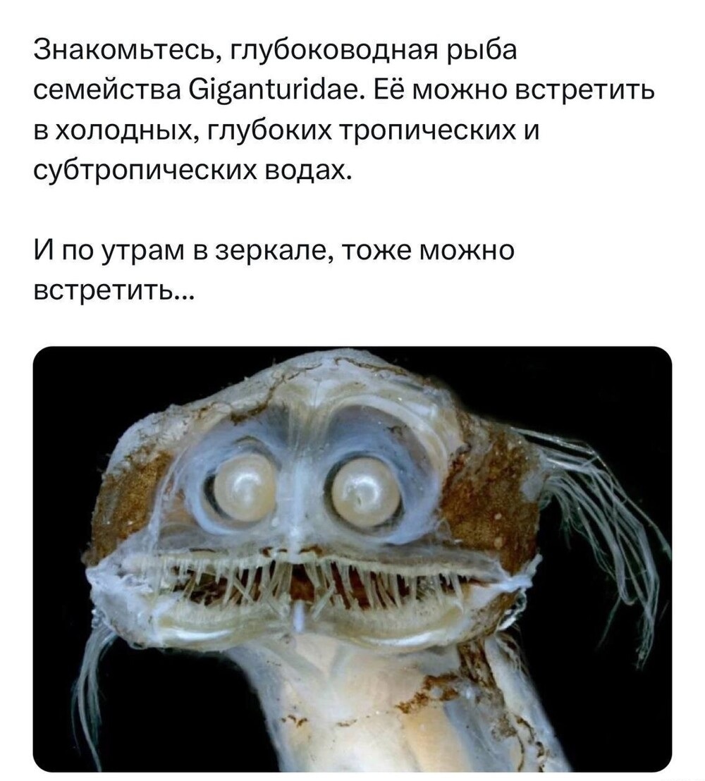 Увеличить Увеличить