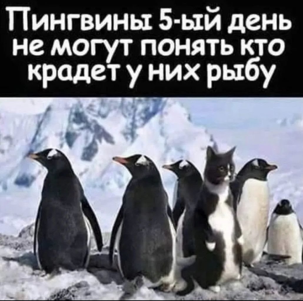 Увеличить Увеличить