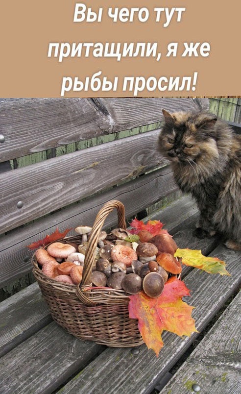 Увеличить Увеличить